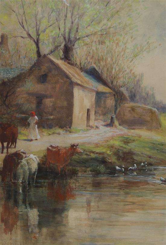 Edwin Arthur Norbury, watercolour, cattle, 53 x 37cm